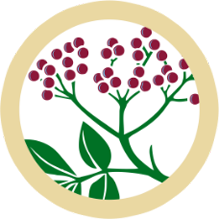 Vitafit Aday Icon Berry