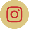 Vitafit Aday Instagram gold