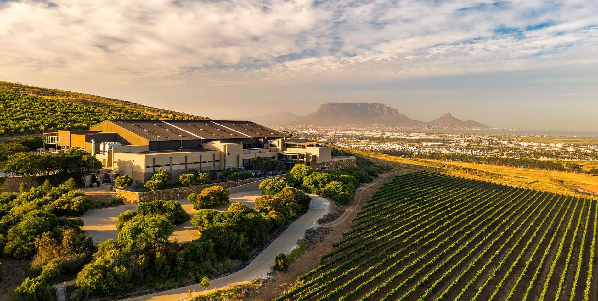 Wine Tasting By Helicopter In Cape Town A Unique Adventure Wine Tasting By Helicopter In Cape Town A Unique Adventure