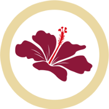 Vitafit Aday Icon Flower