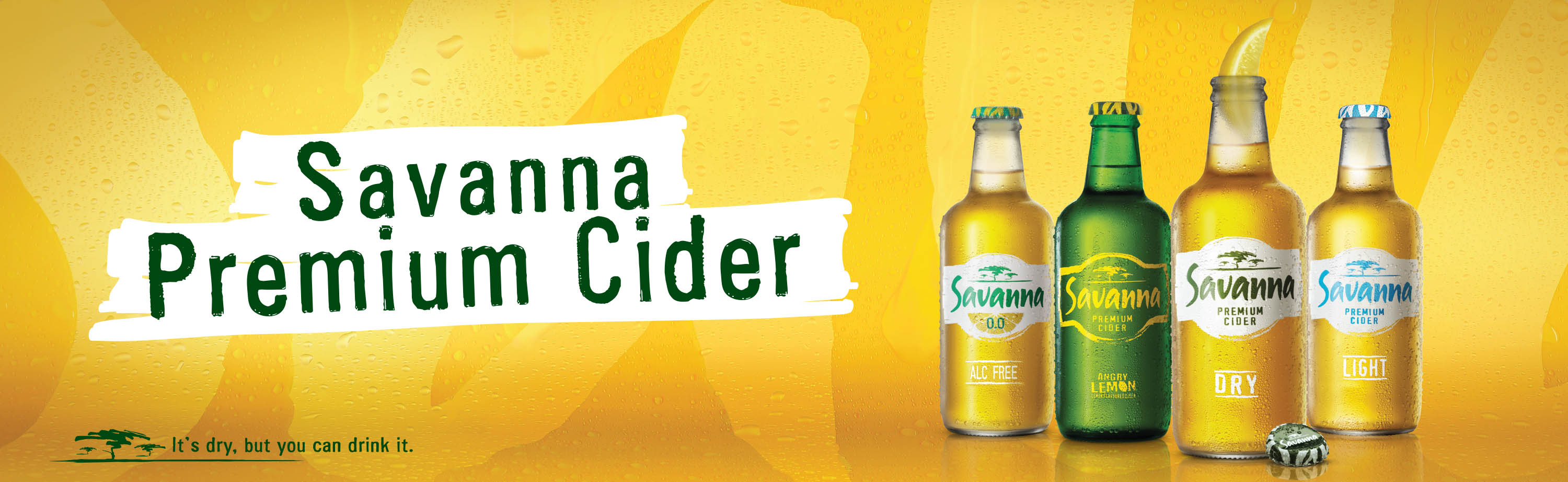 Alcohol and Health - Savanna