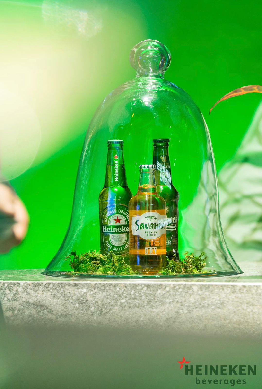 History, Origins and Drinks Portfolio of Heineken